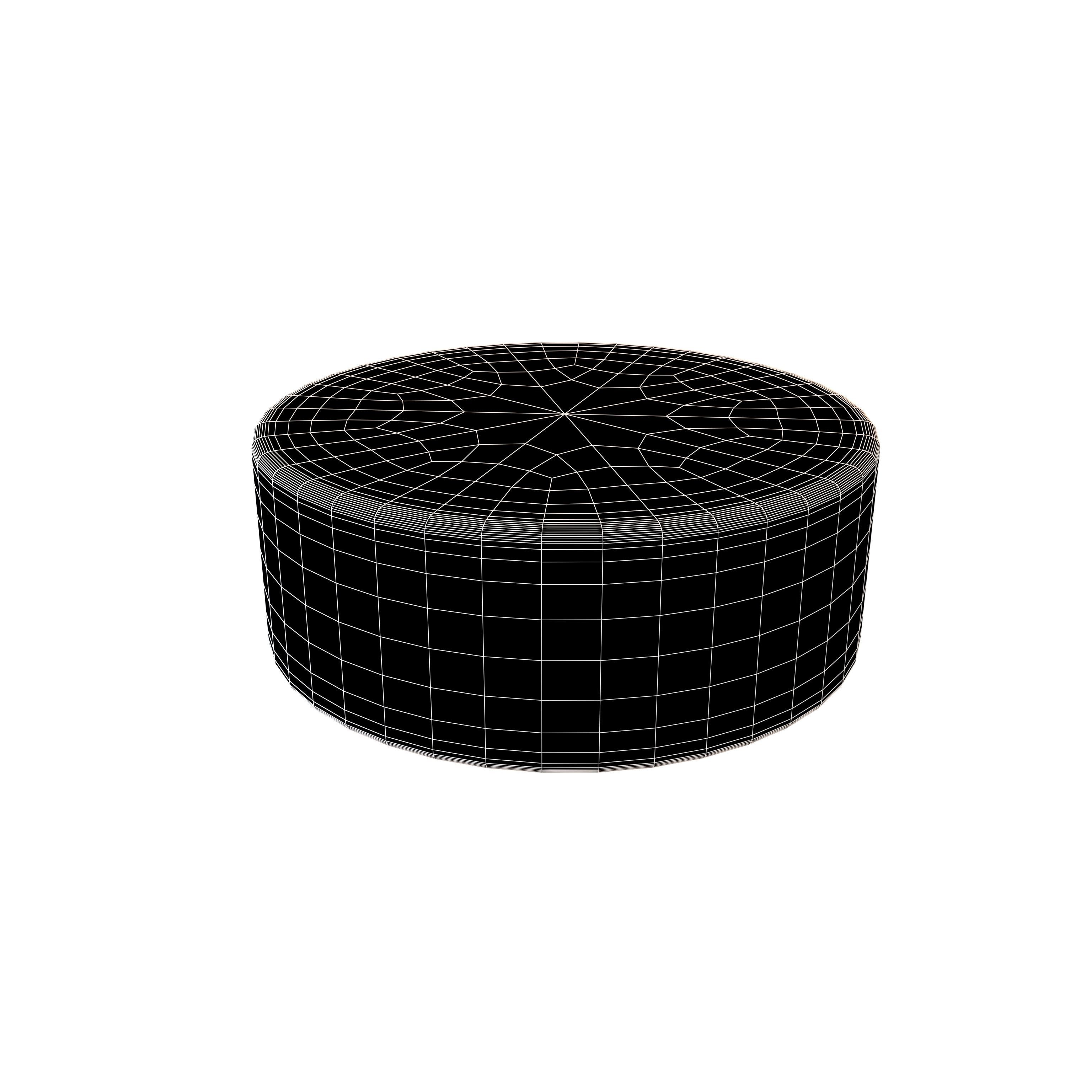 Ice Hockey Puck v1 005 Low-poly 3D model_4