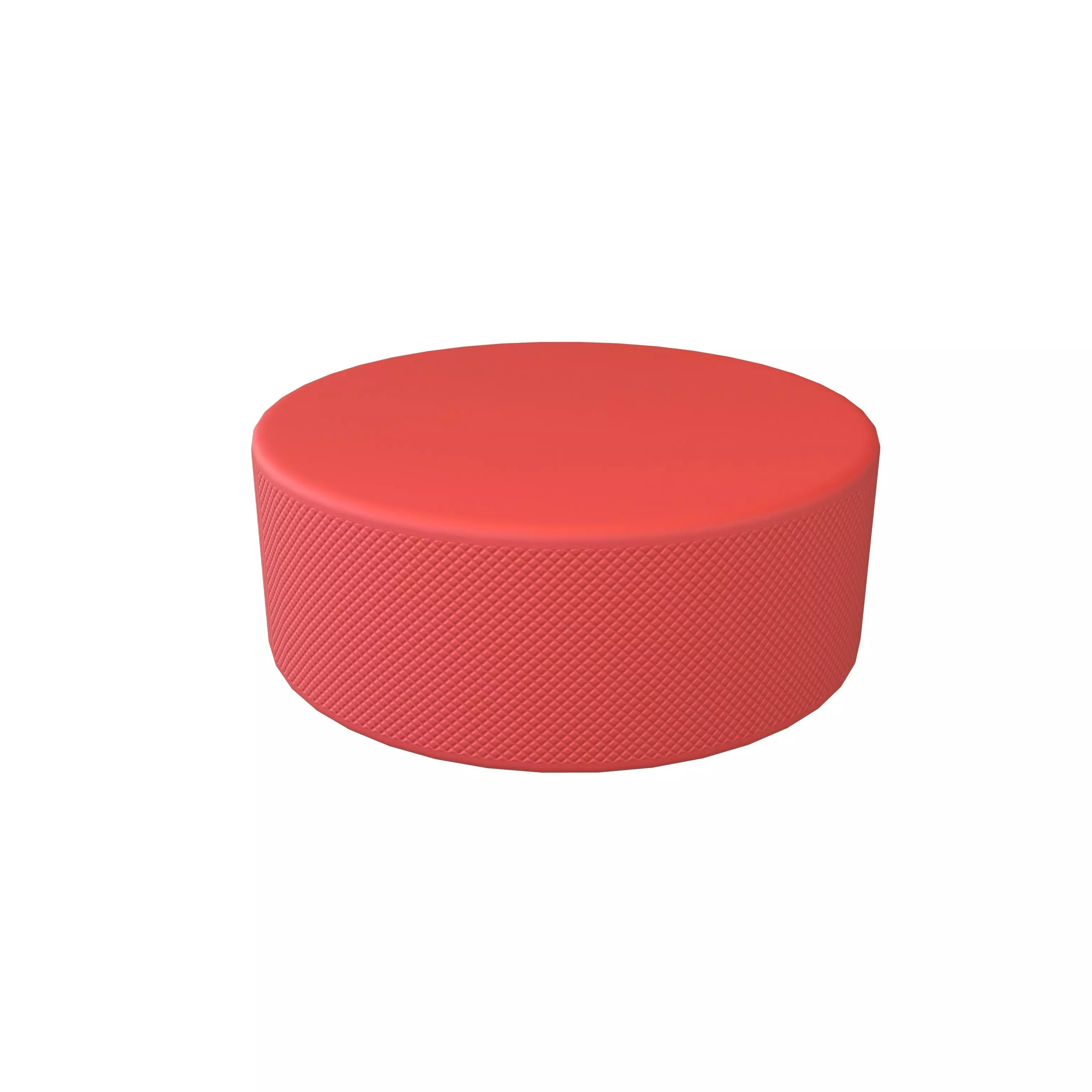 Ice Hockey Puck v1 005 Low-poly 3D model_0
