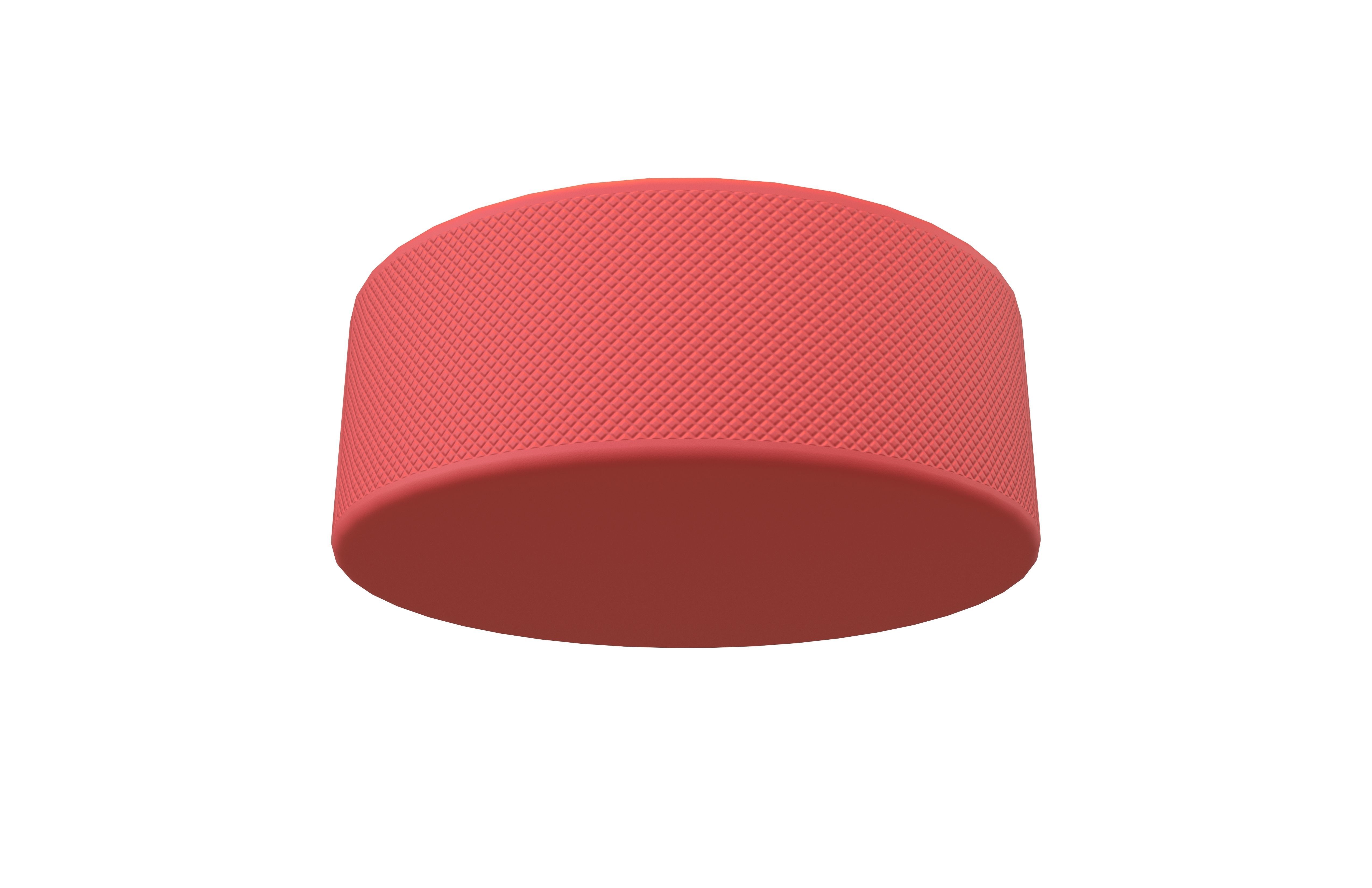 Ice Hockey Puck v1 005 Low-poly 3D model_3