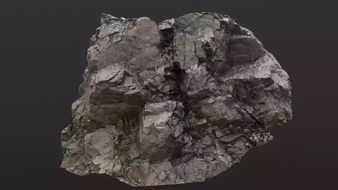 Moa Point Cliffs Photogrammetry Assets 