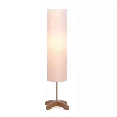 Minimalist Floor Lamp 