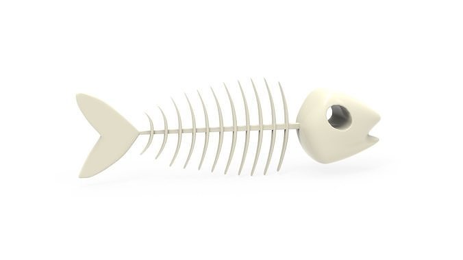 Fish bone v001 3D model 2
