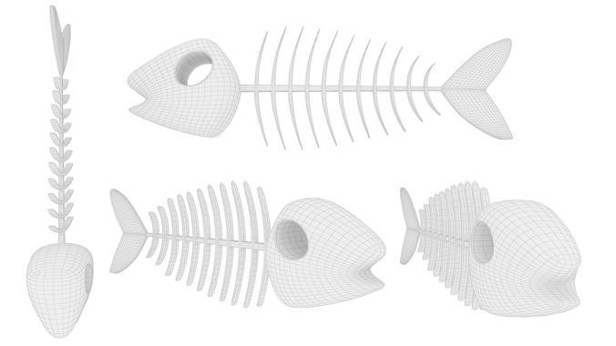 Fish bone v001 3D model 7