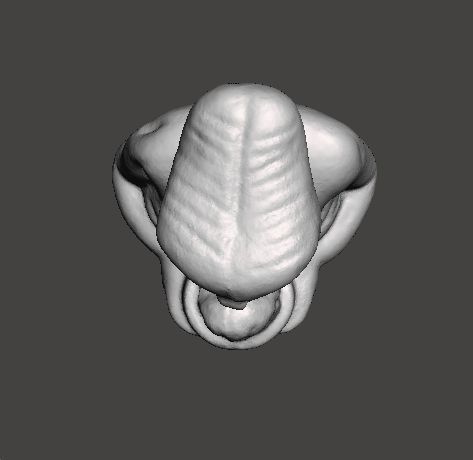 ET WITH ICE CREAM 1982 PVC PLASTIC GASHAPON TOY FIGURE ALIEN 3D print model_5