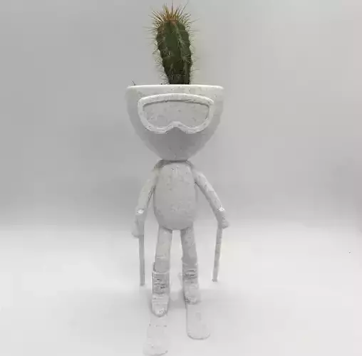 Skier Head Planter - Skii Planter - Head Planter - Plant Pot 
