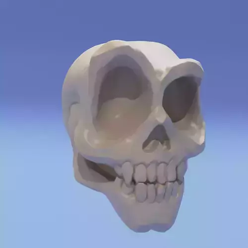 Funny sculpting scull