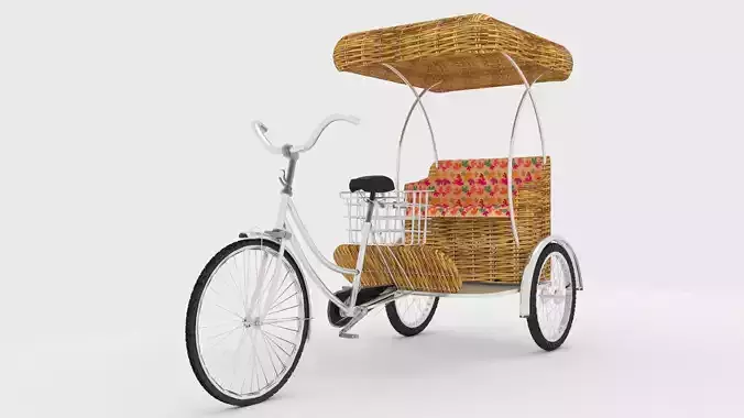 Bike Rickshaw 4