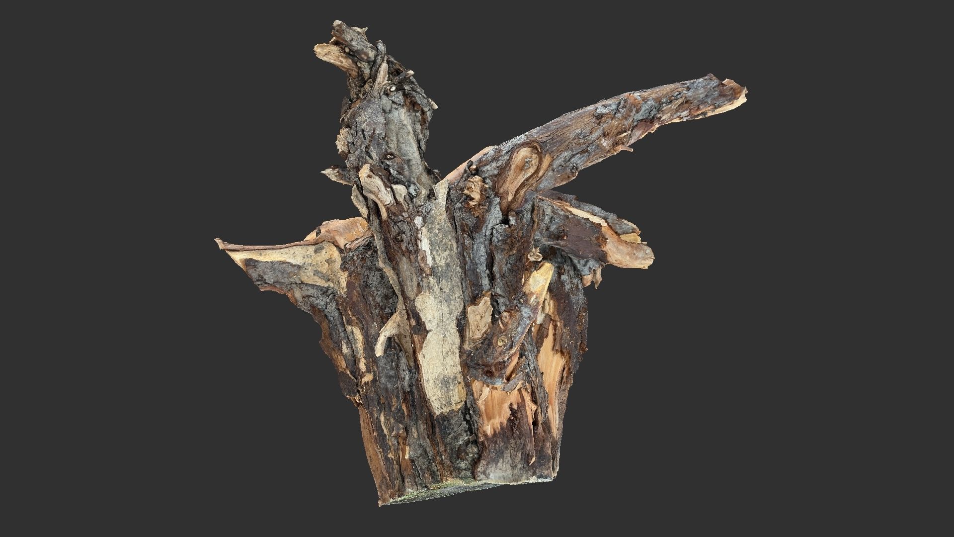 Tree Root 3D Scan 3D model_14
