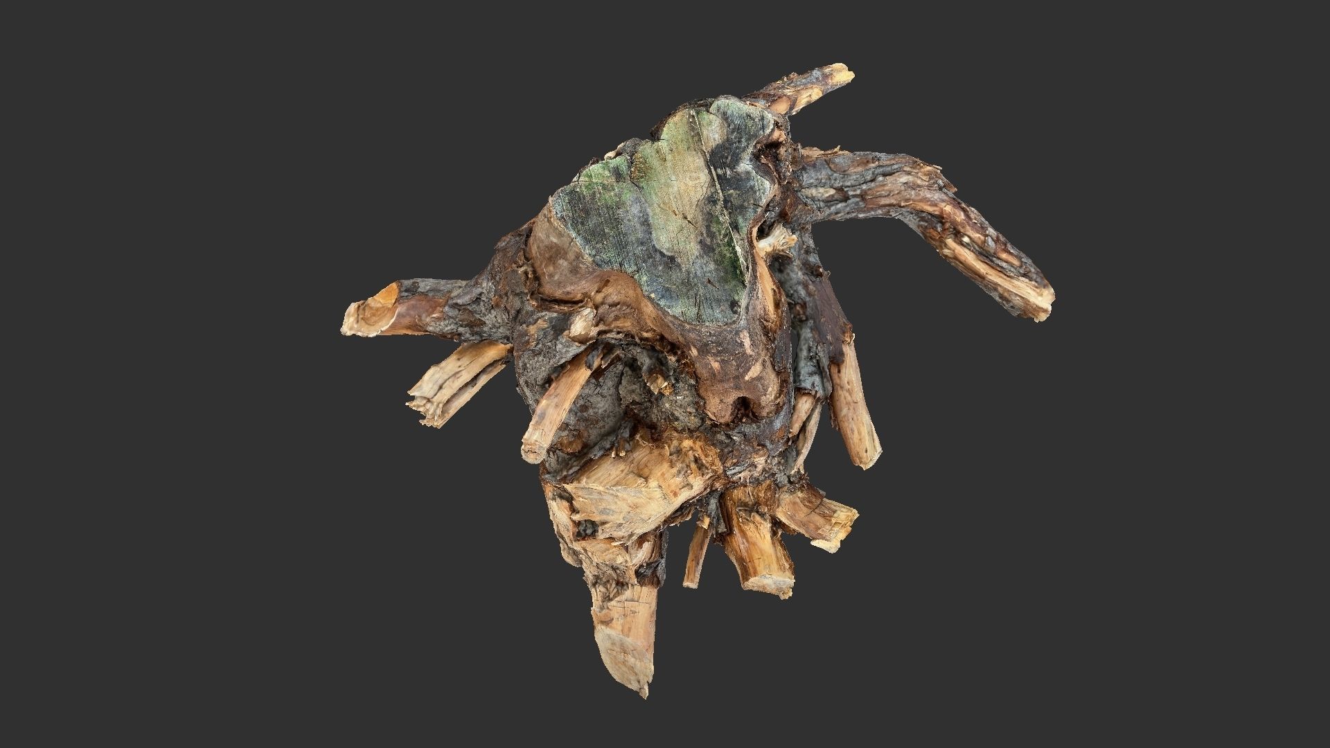 Tree Root 3D Scan 3D model_5