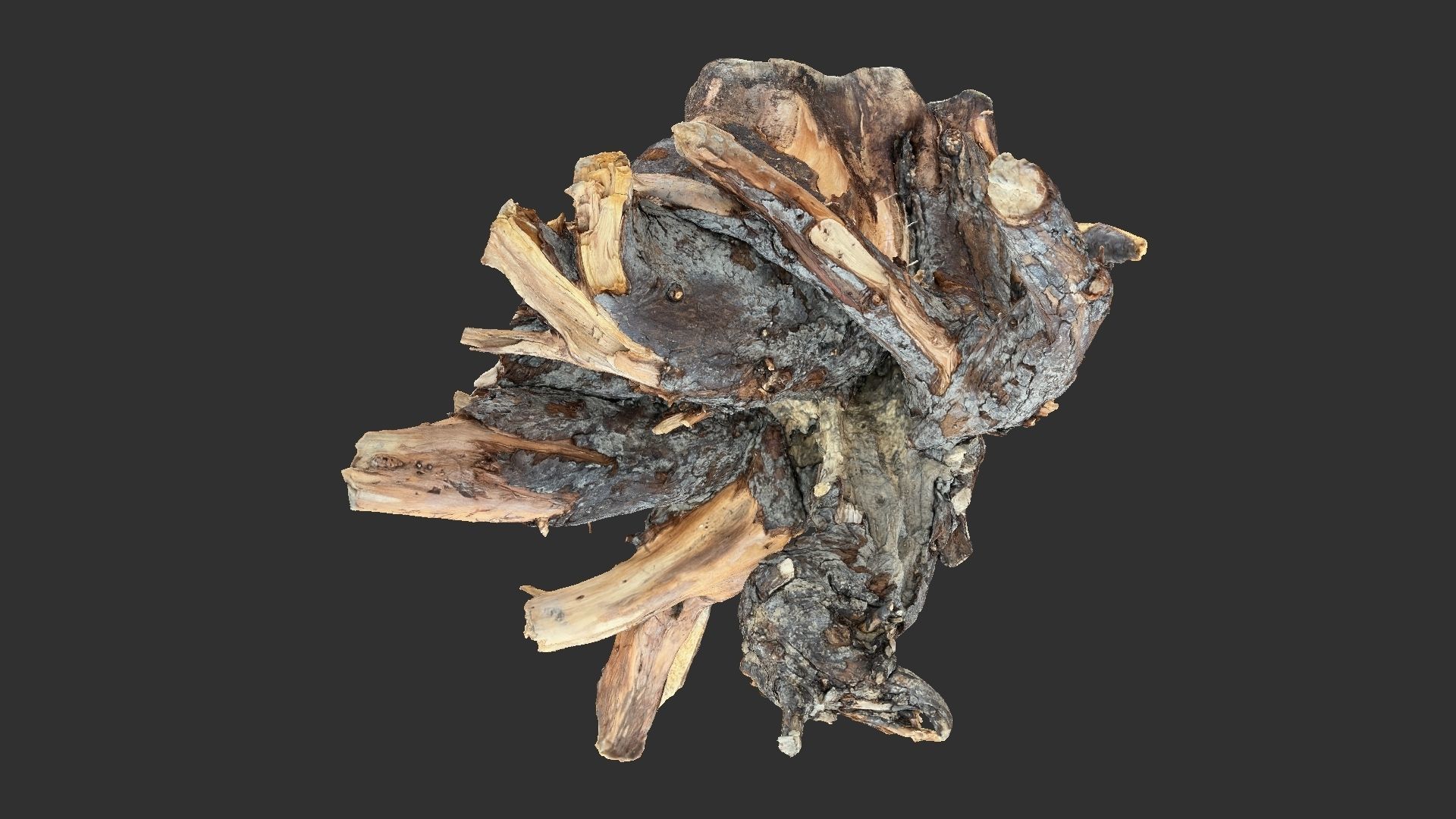 Tree Root 3D Scan 3D model_8