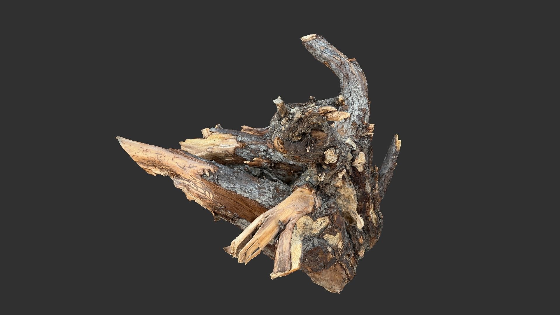 Tree Root 3D Scan 3D model_9