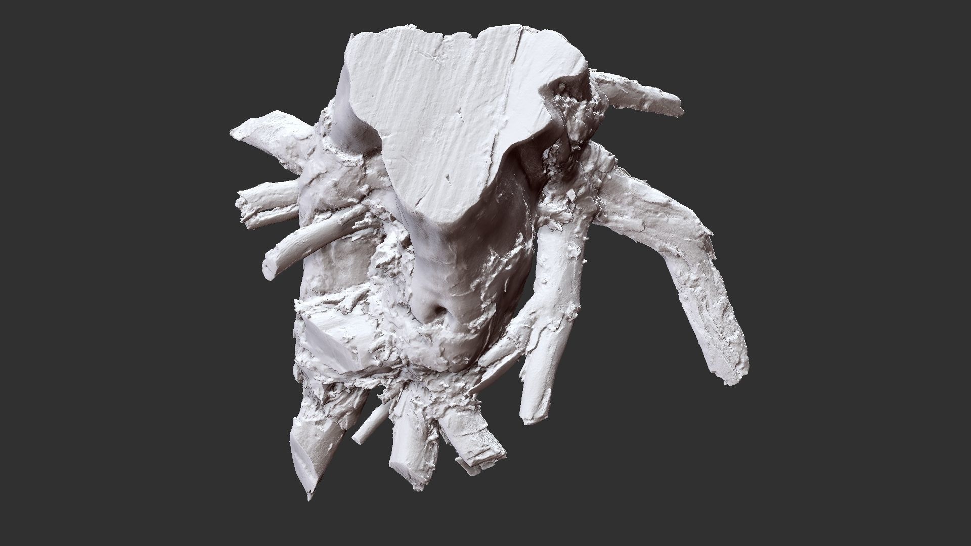 Tree Root 3D Scan 3D model_25