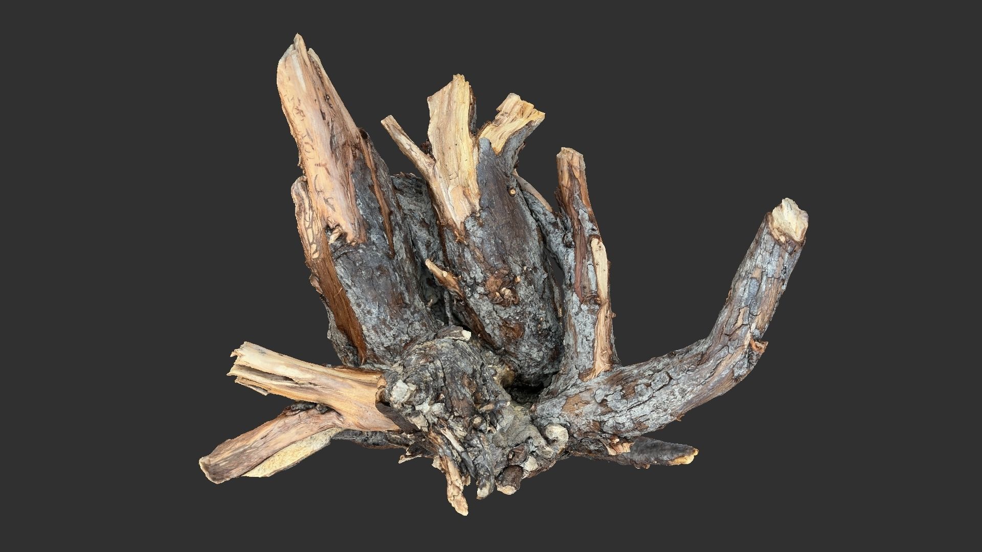 Tree Root 3D Scan 3D model_15