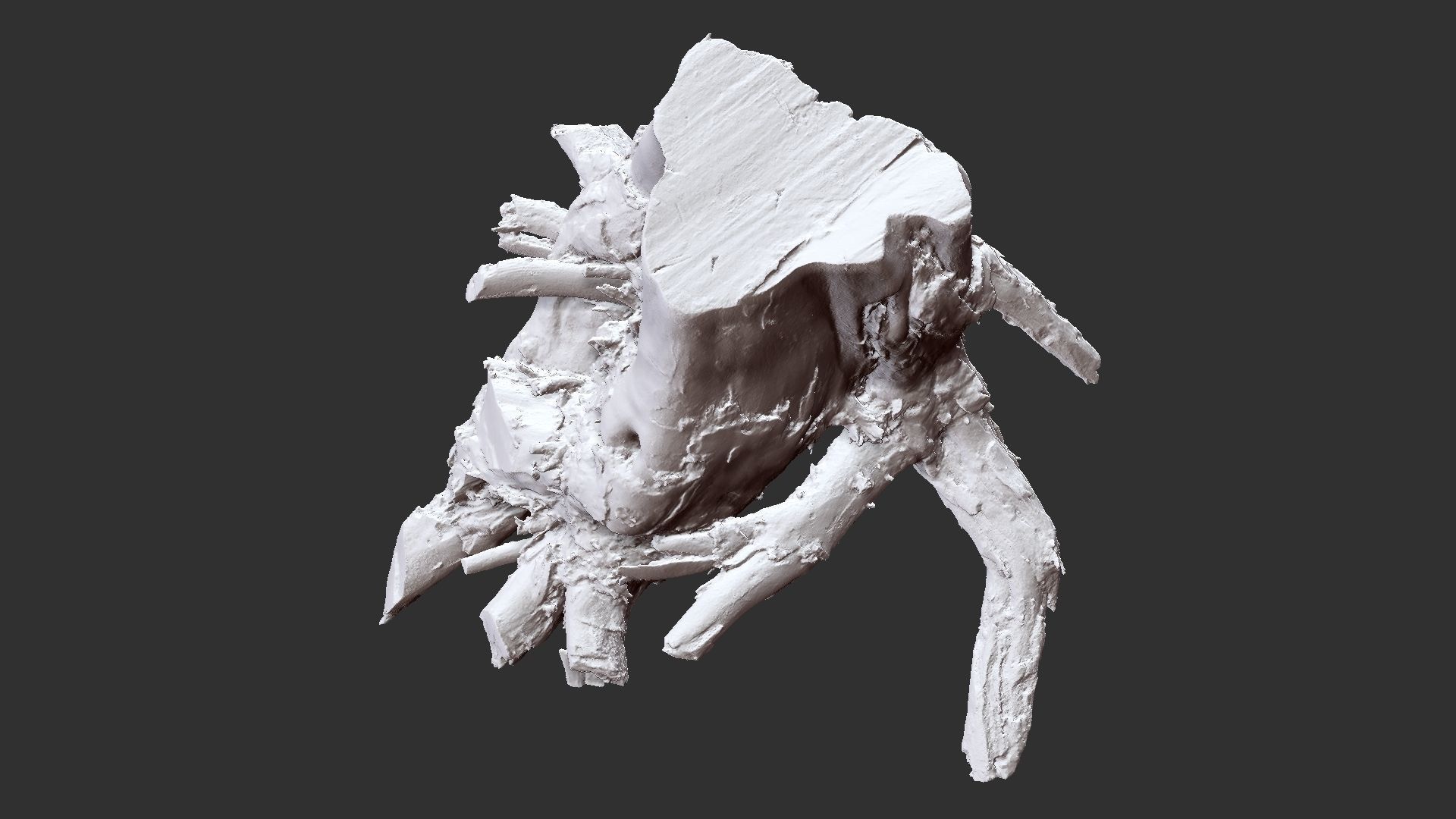 Tree Root 3D Scan 3D model_23