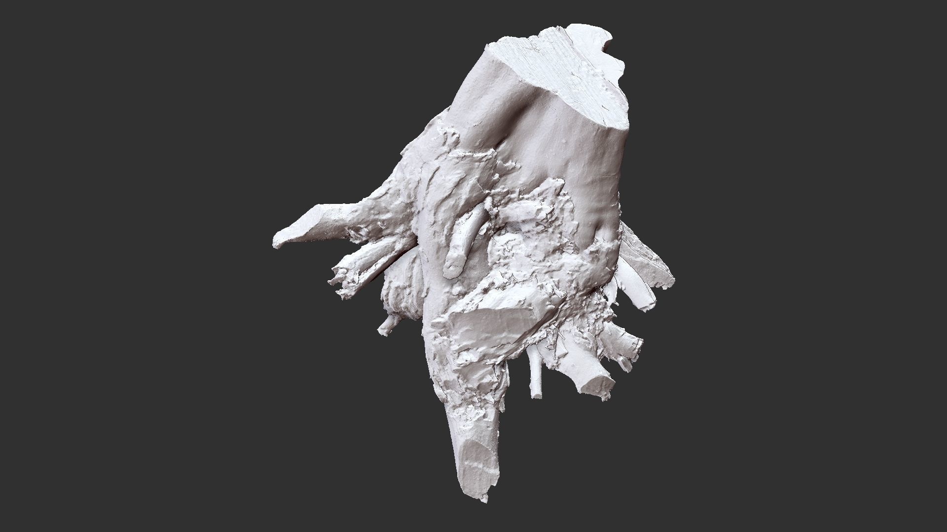 Tree Root 3D Scan 3D model_24
