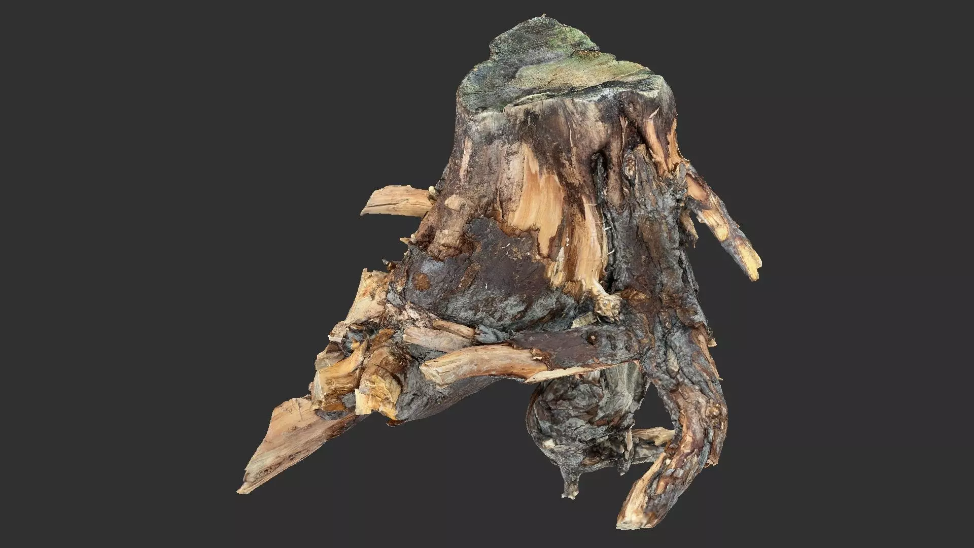 Tree Root 3D Scan 3D model_0