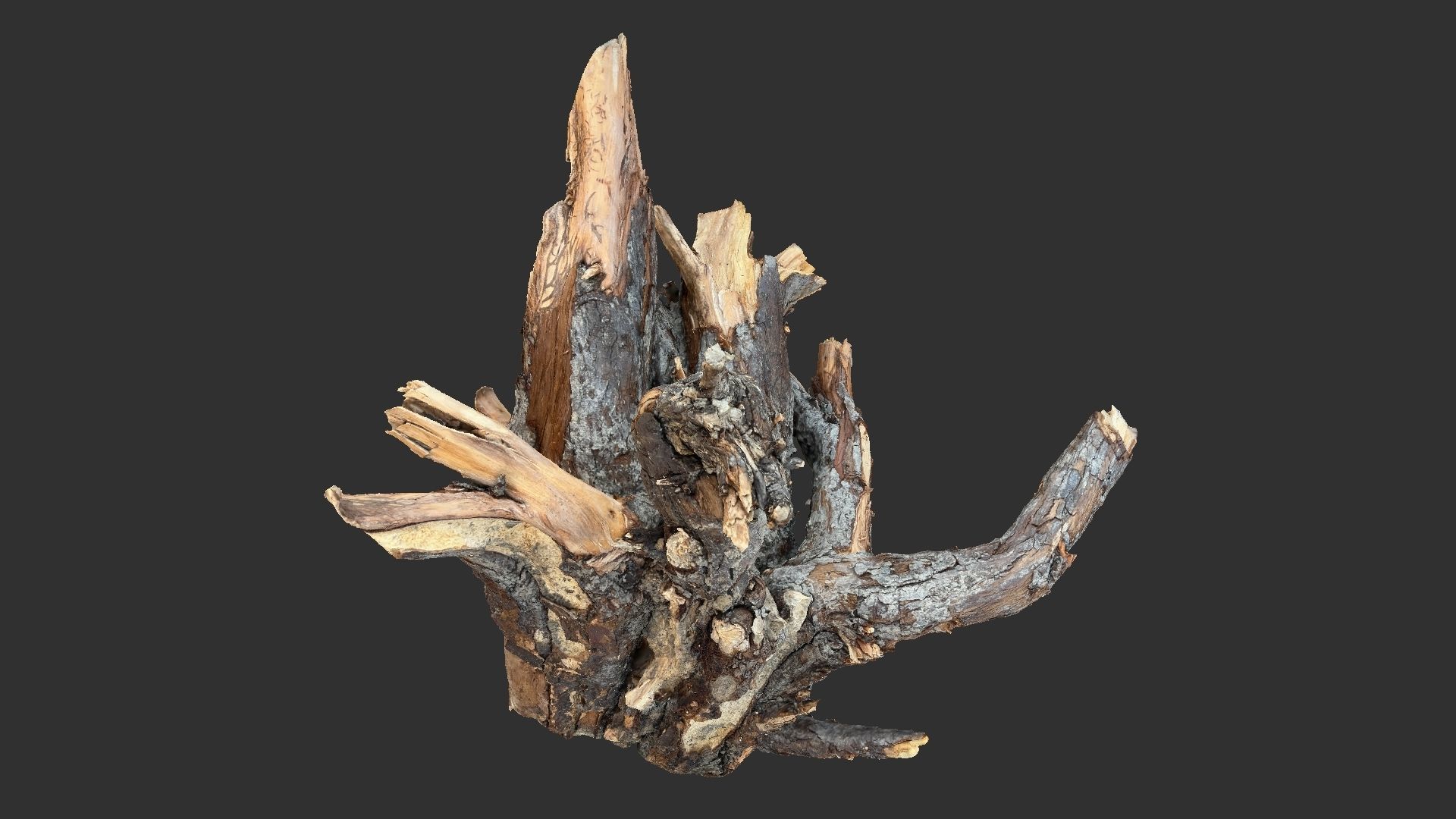 Tree Root 3D Scan 3D model_12