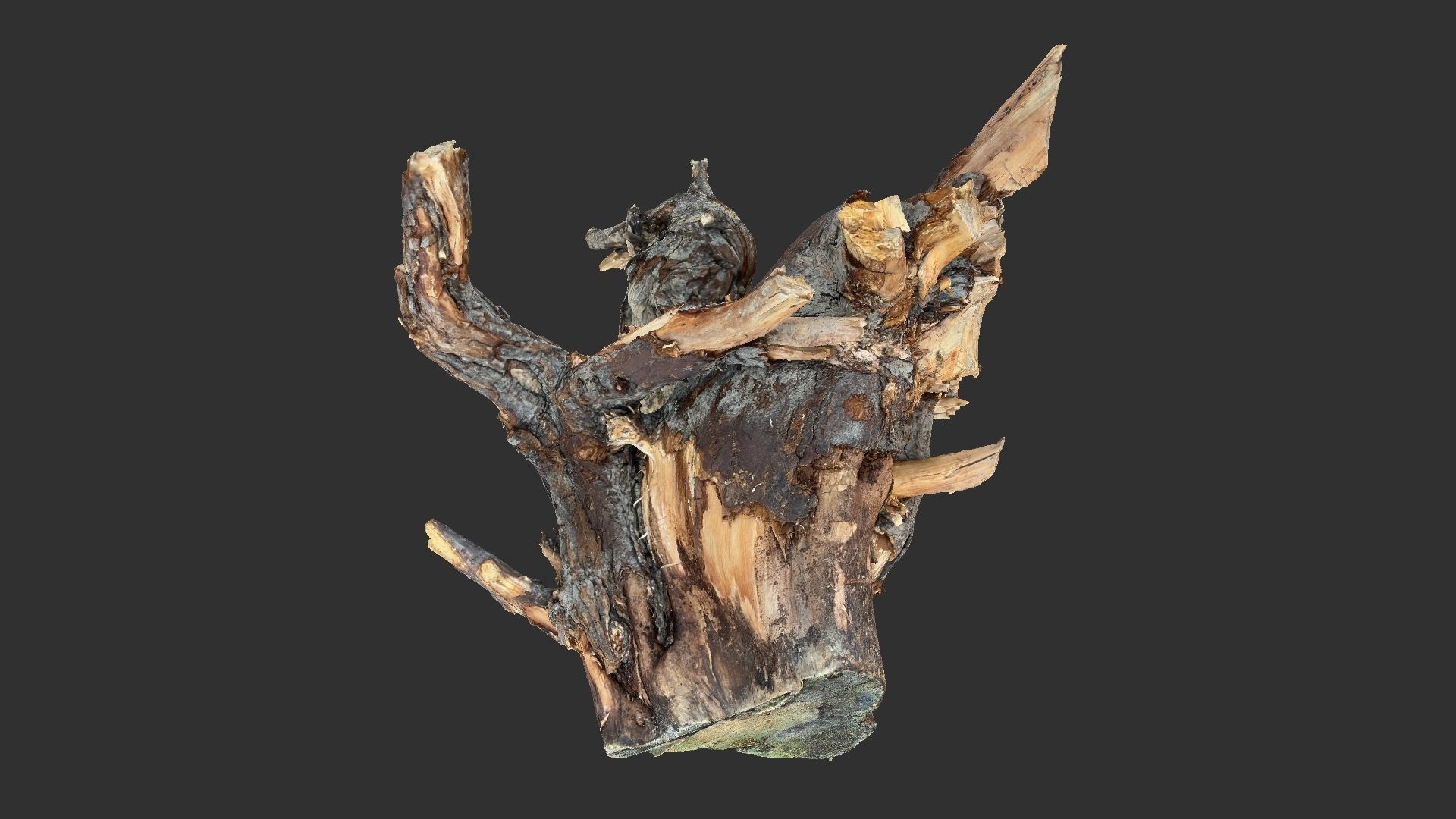 Tree Root 3D Scan 3D model_11