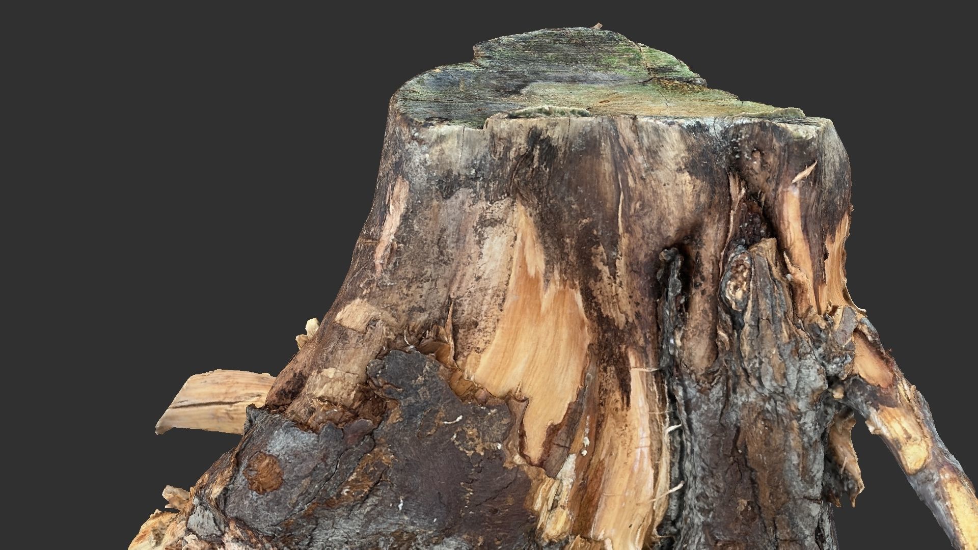 Tree Root 3D Scan 3D model_6