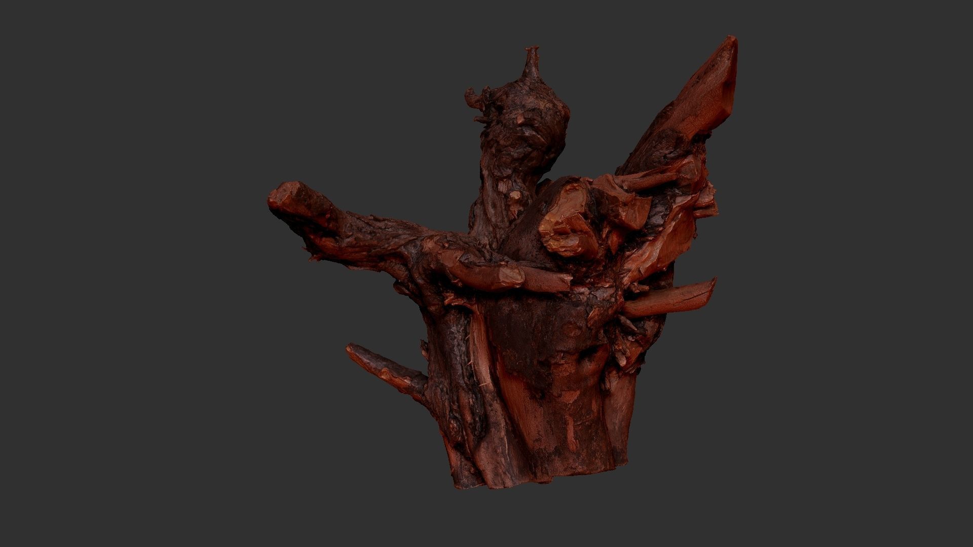 Tree Root 3D Scan 3D model_20