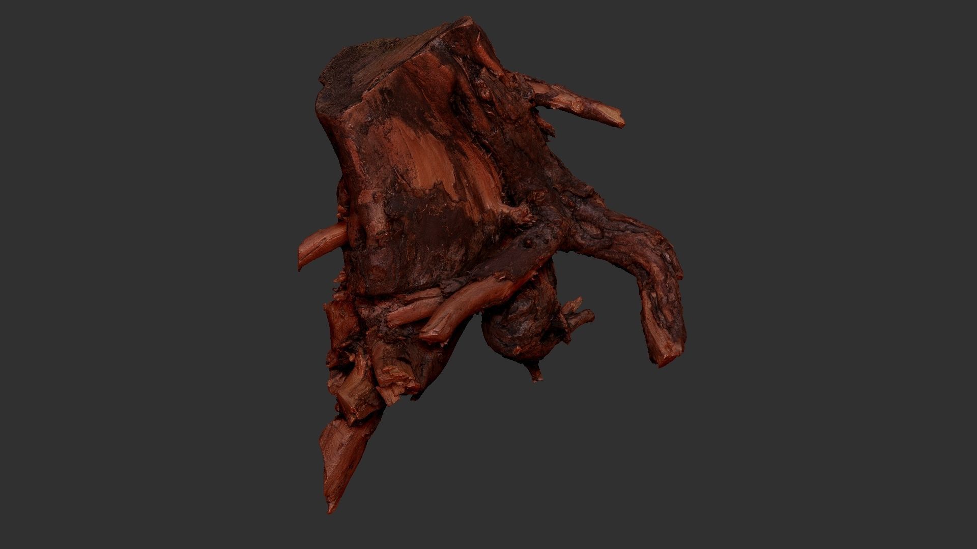 Tree Root 3D Scan 3D model_17