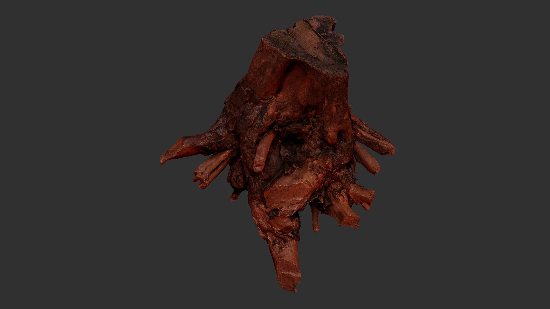 Tree Root 3D Scan 3D model_19