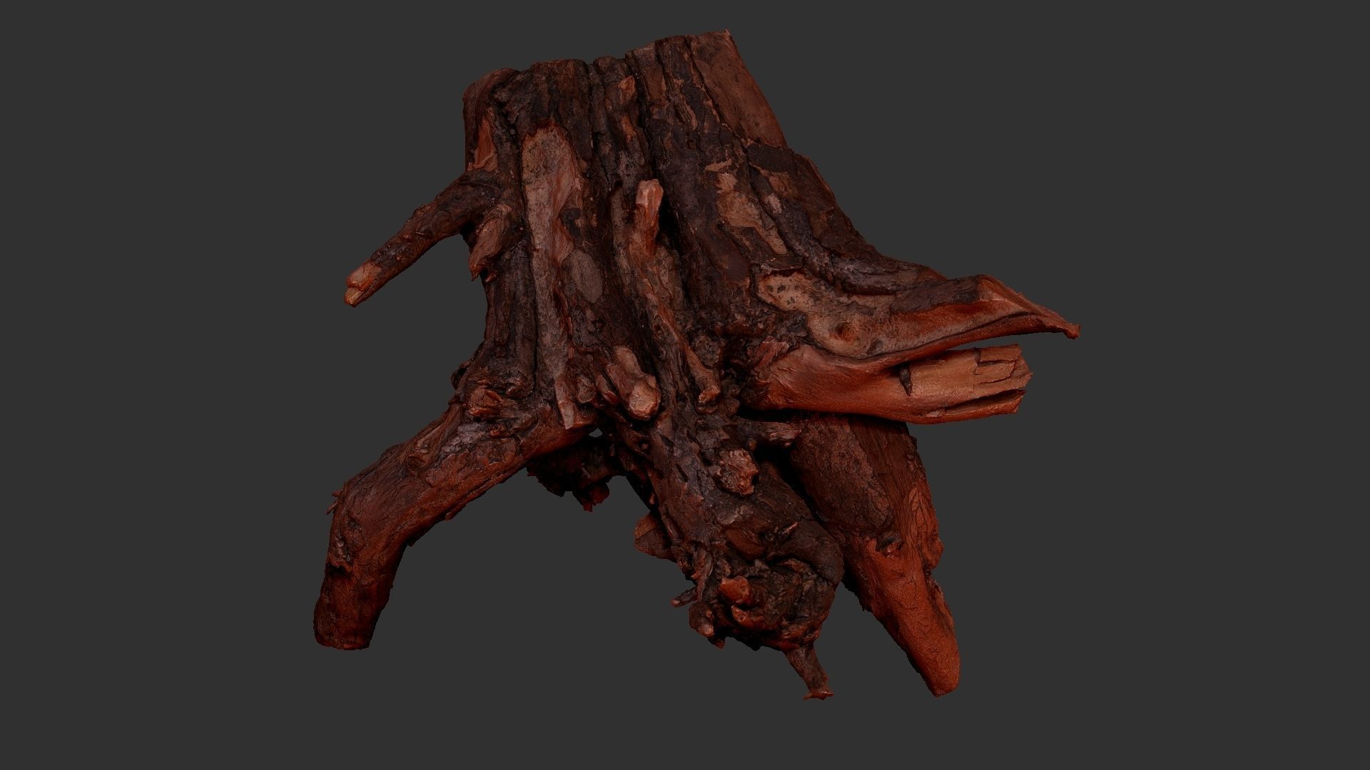 Tree Root 3D Scan 3D model_18