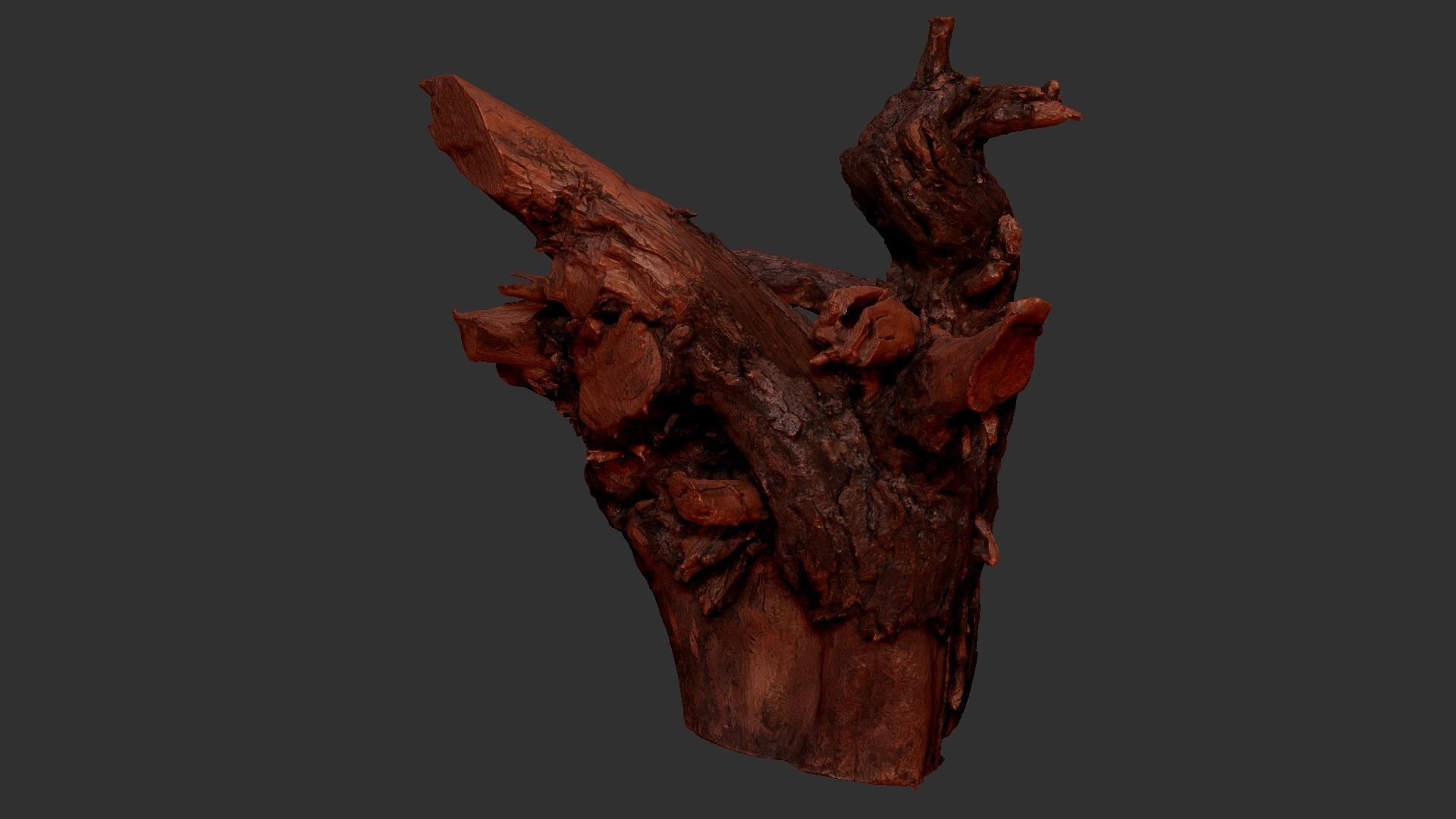 Tree Root 3D Scan 3D model_21