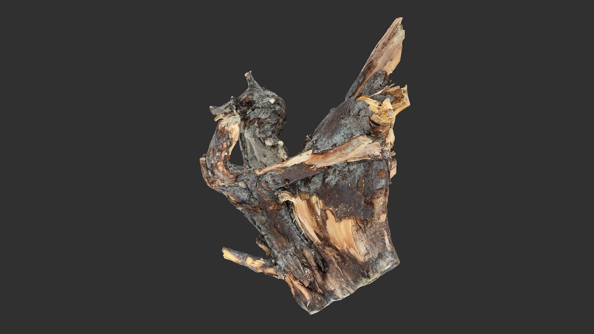 Tree Root 3D Scan 3D model_13