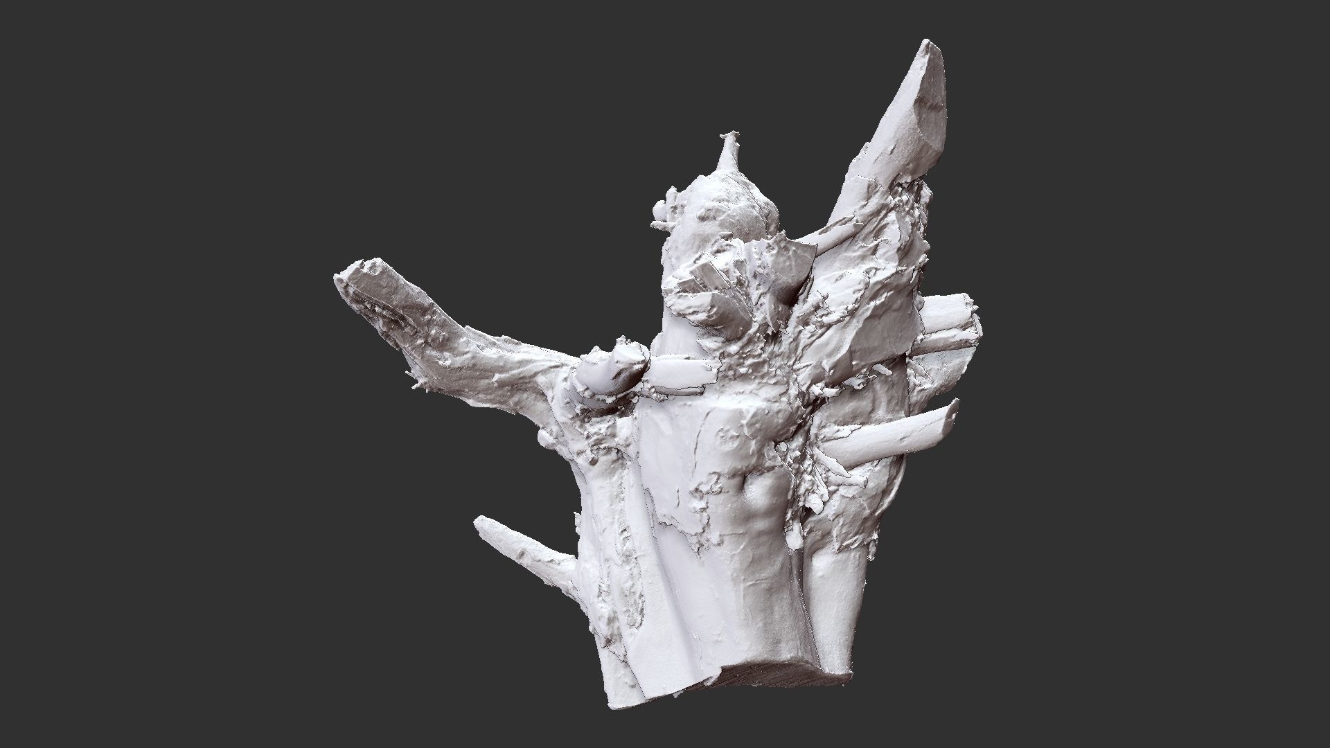 Tree Root 3D Scan 3D model_27