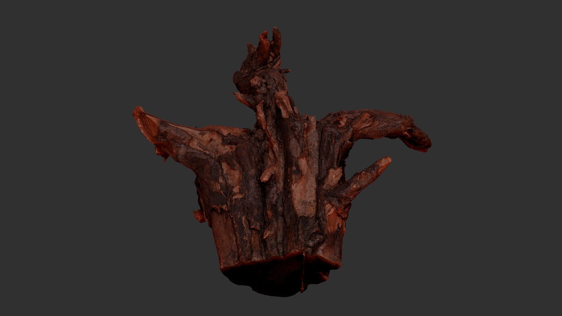 Tree Root 3D Scan 3D model_22