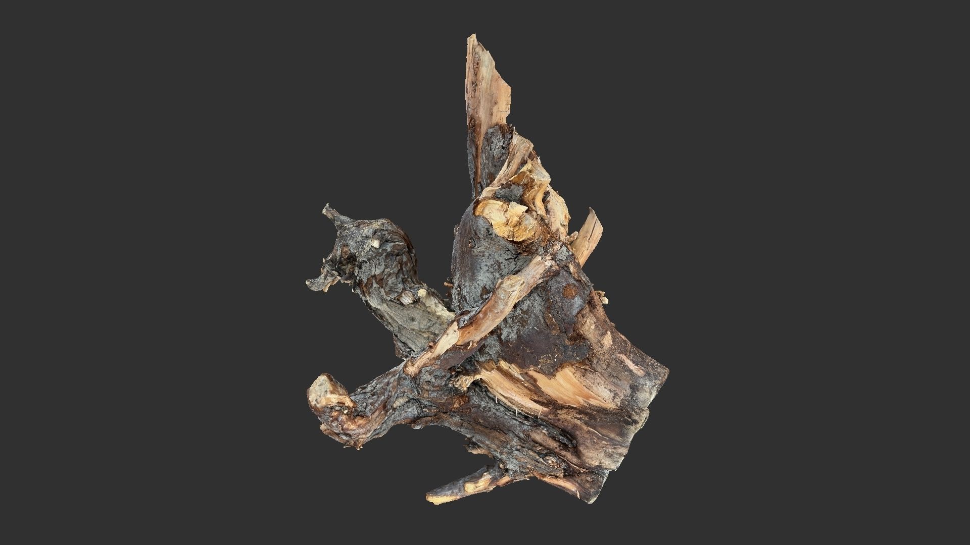 Tree Root 3D Scan 3D model_10