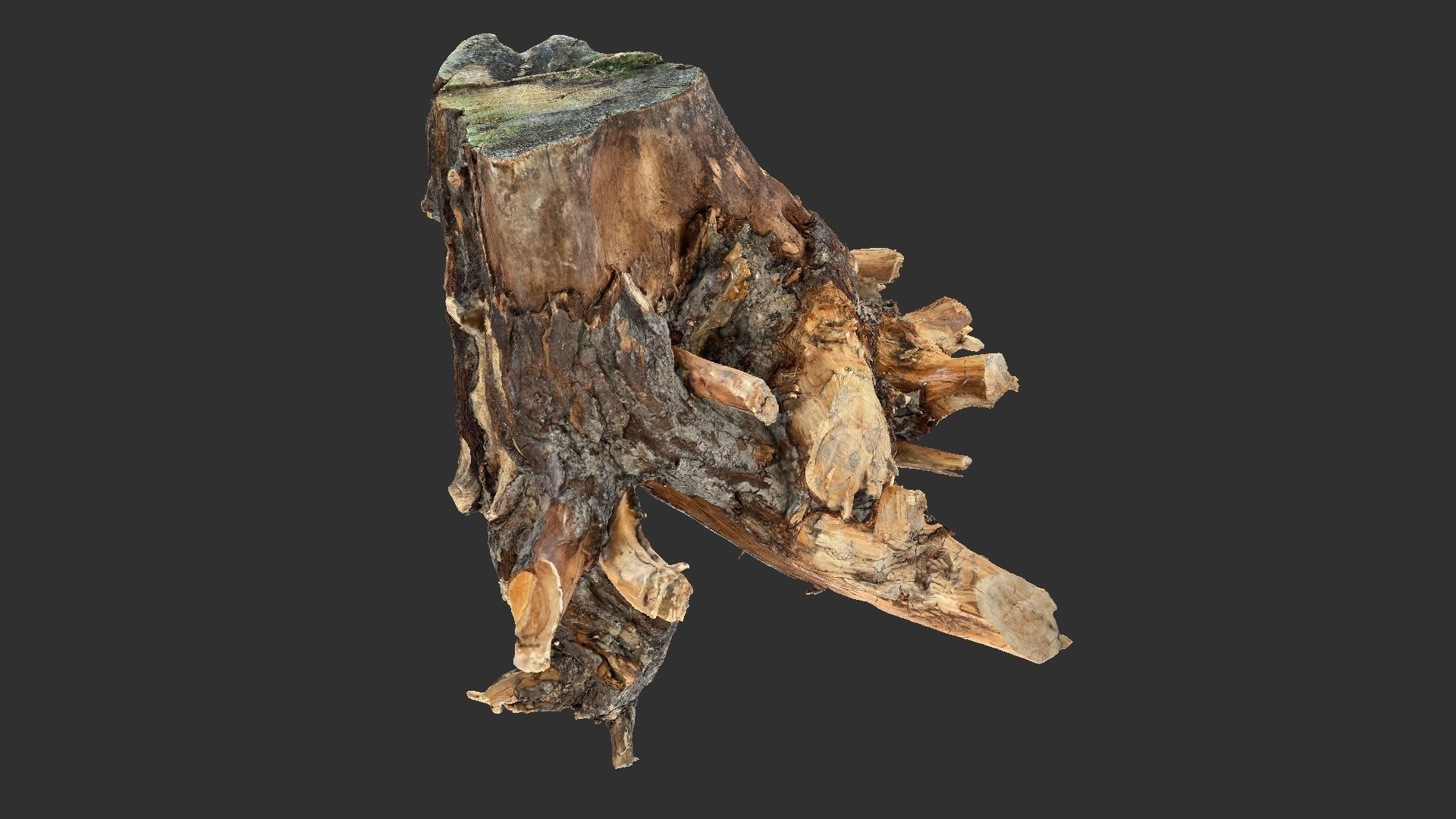 Tree Root 3D Scan 3D model_3