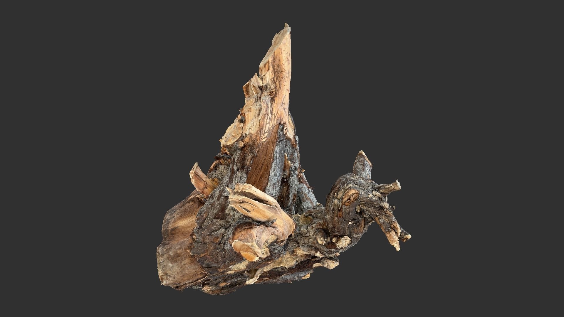 Tree Root 3D Scan 3D model_16