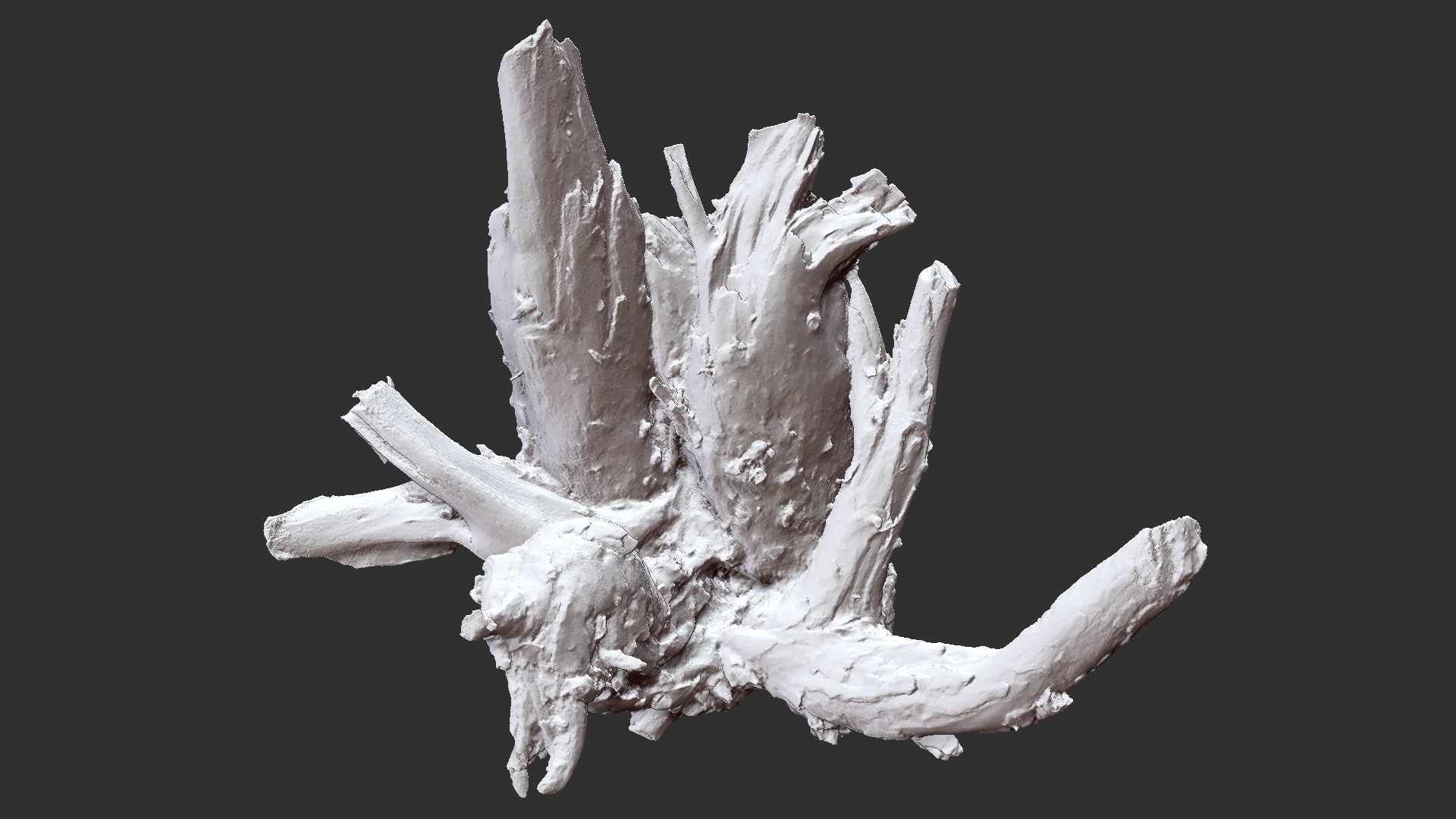 Tree Root 3D Scan 3D model_26