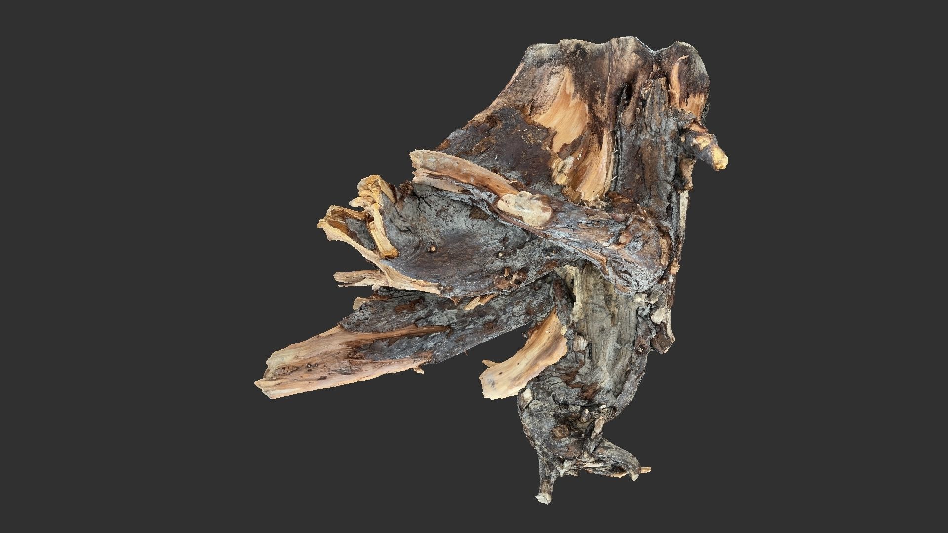 Tree Root 3D Scan 3D model_7