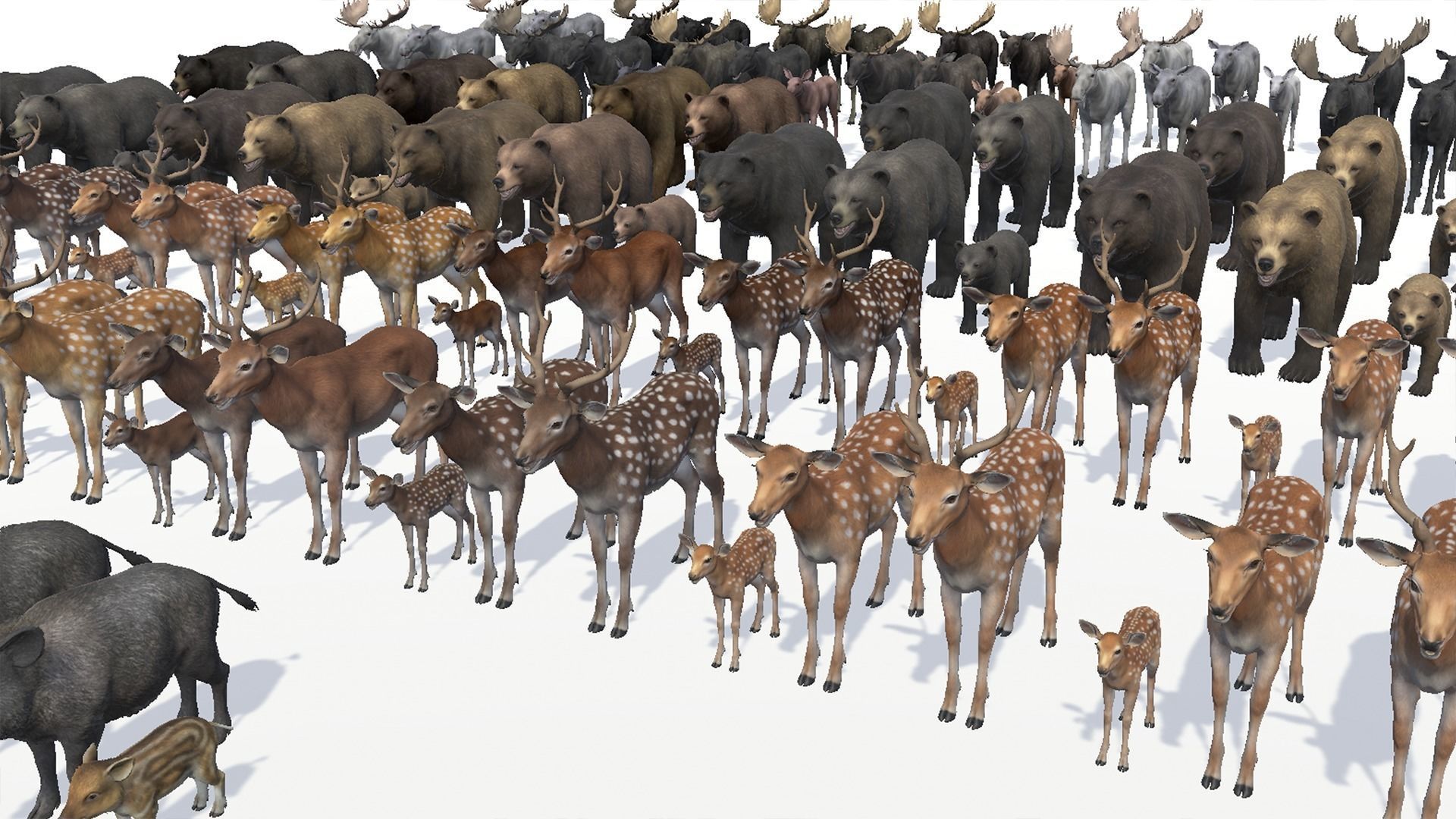 FOREST ANIMALS 3 3D Model Collection_24