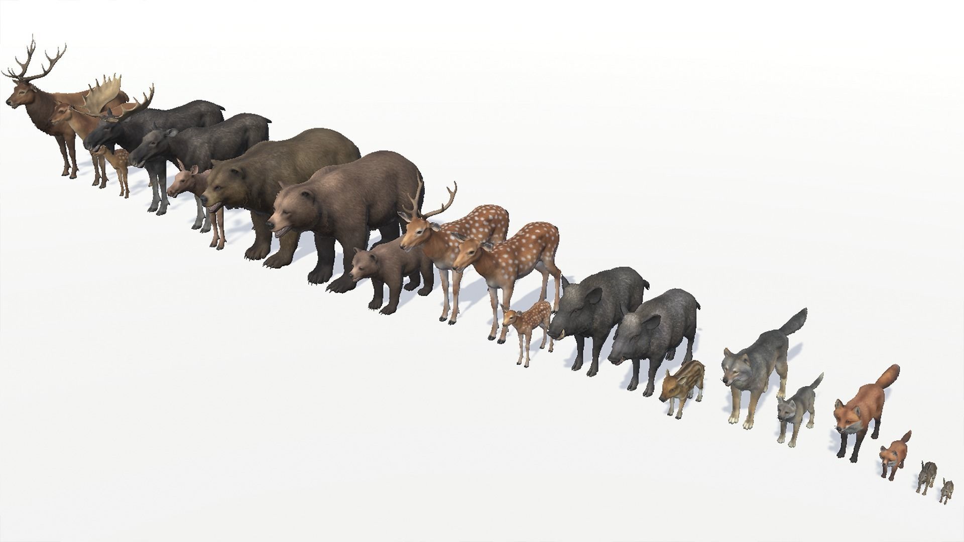 FOREST ANIMALS 3 3D Model Collection_18