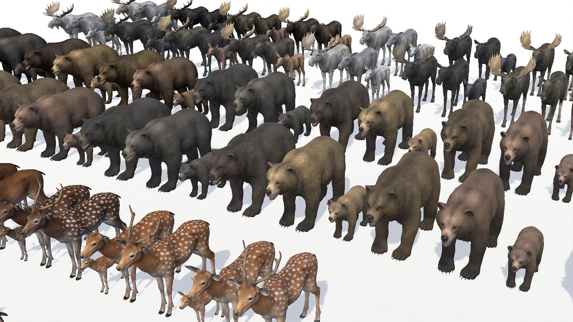 FOREST ANIMALS 3 3D Model Collection_25