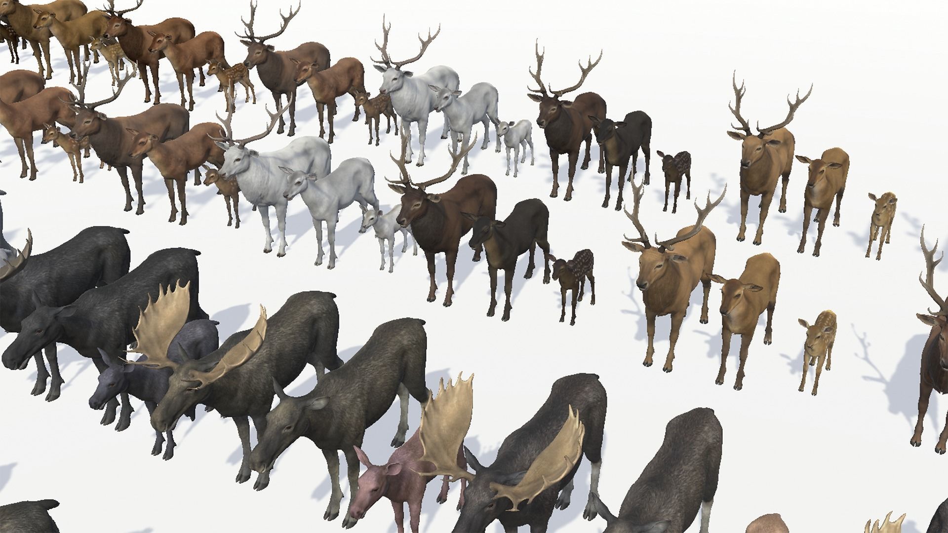 FOREST ANIMALS 3 3D Model Collection_26