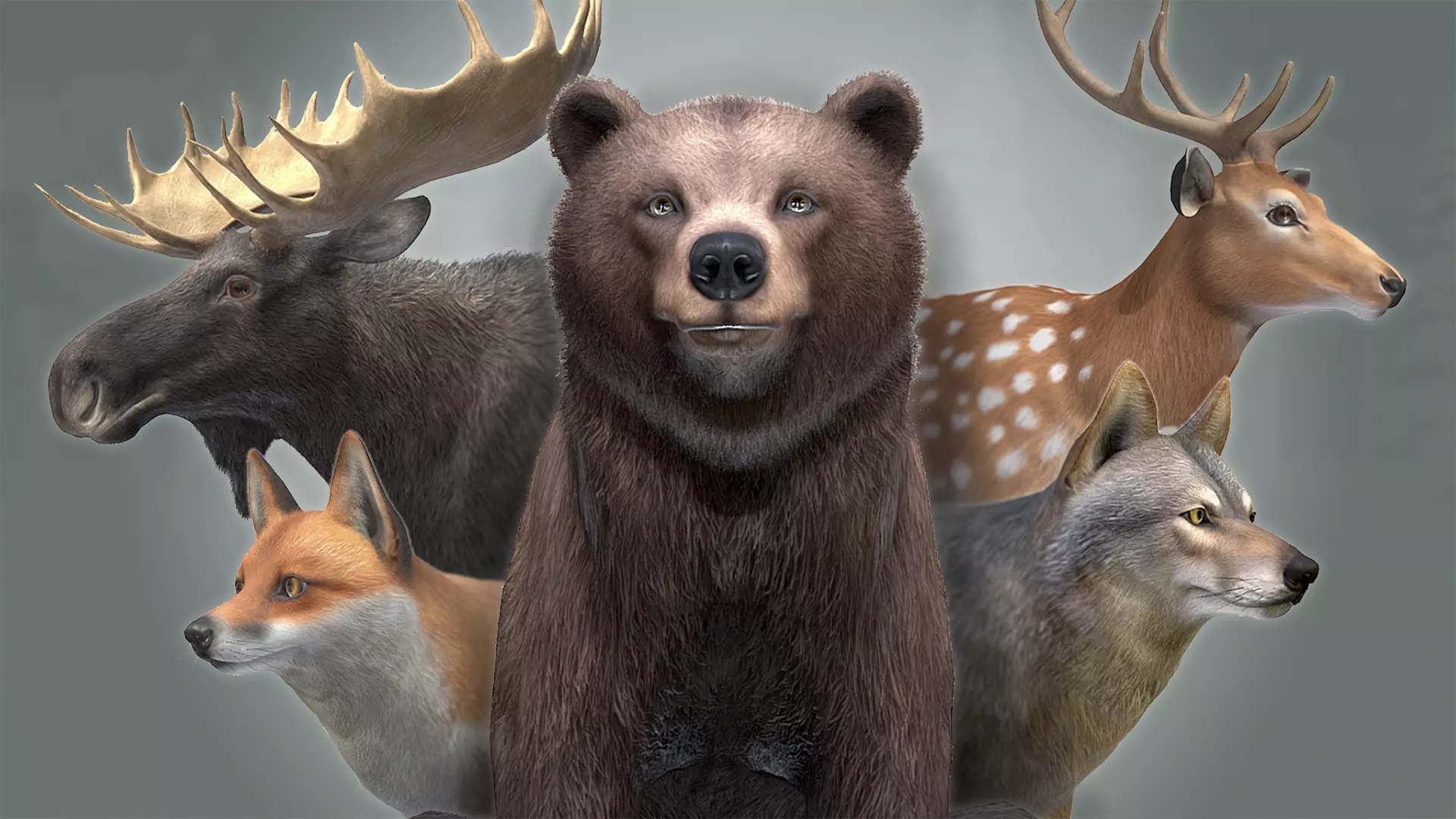 FOREST ANIMALS 3 3D Model Collection_0