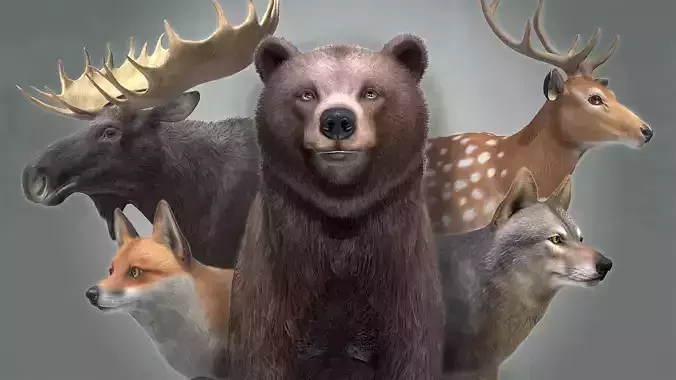 FOREST ANIMALS 3 3D Model Collection