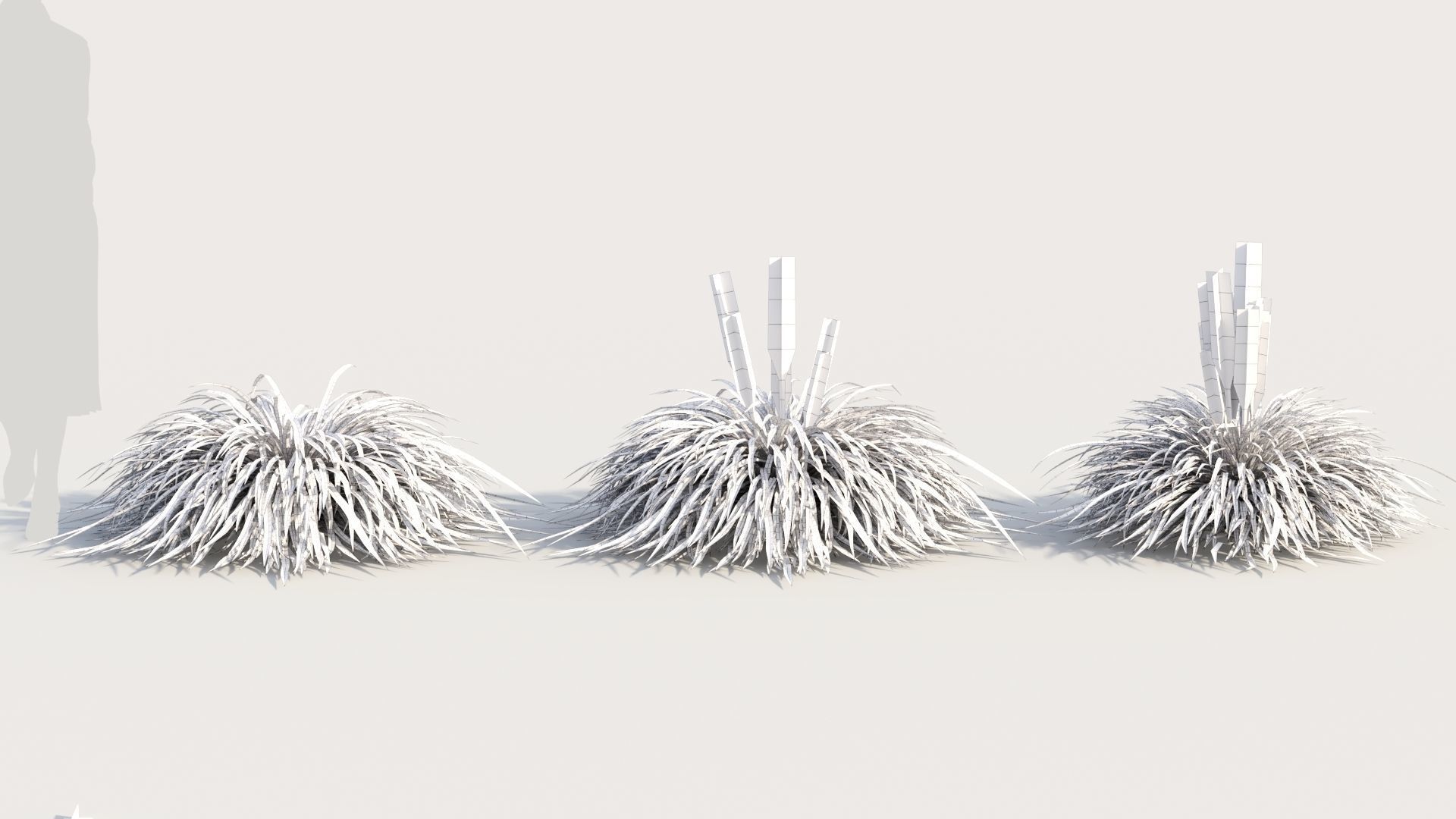 Hakonechloa macra a 3D model_8