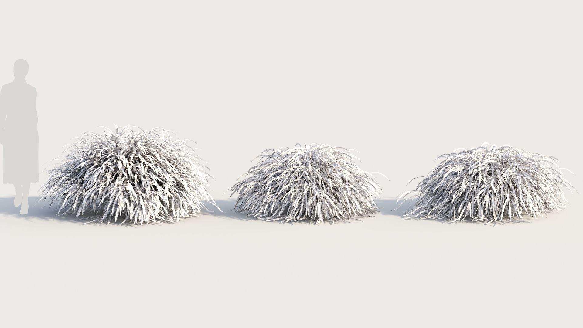 Hakonechloa macra b 3D model_8