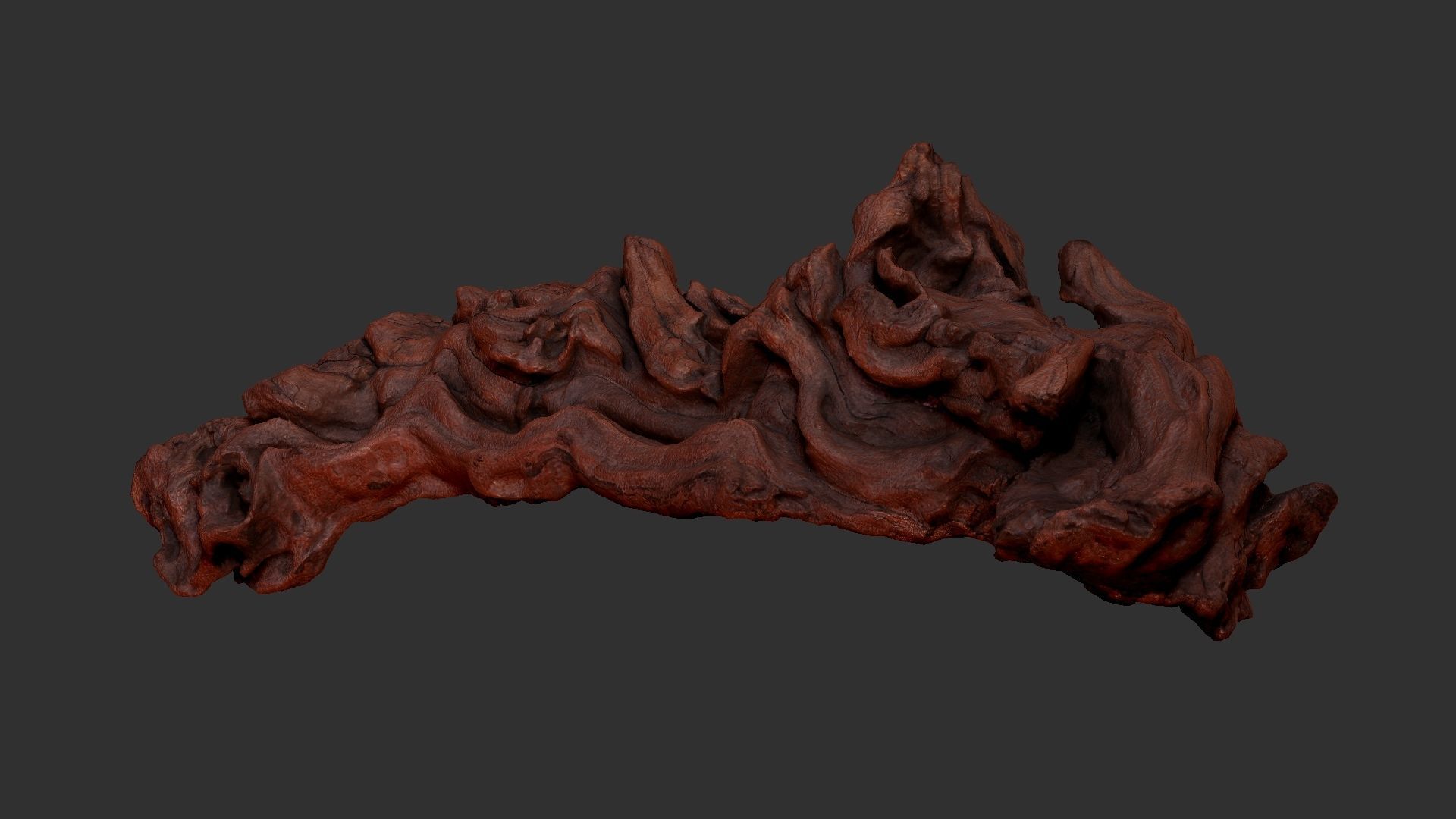 3d scan of the tree trunk 3D model_20