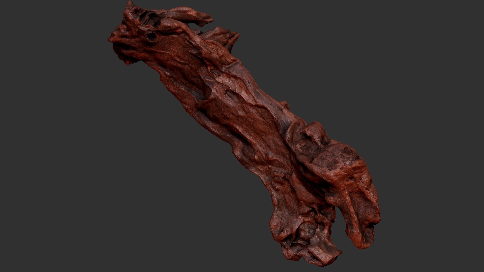 3d scan of the tree trunk 3D model_18