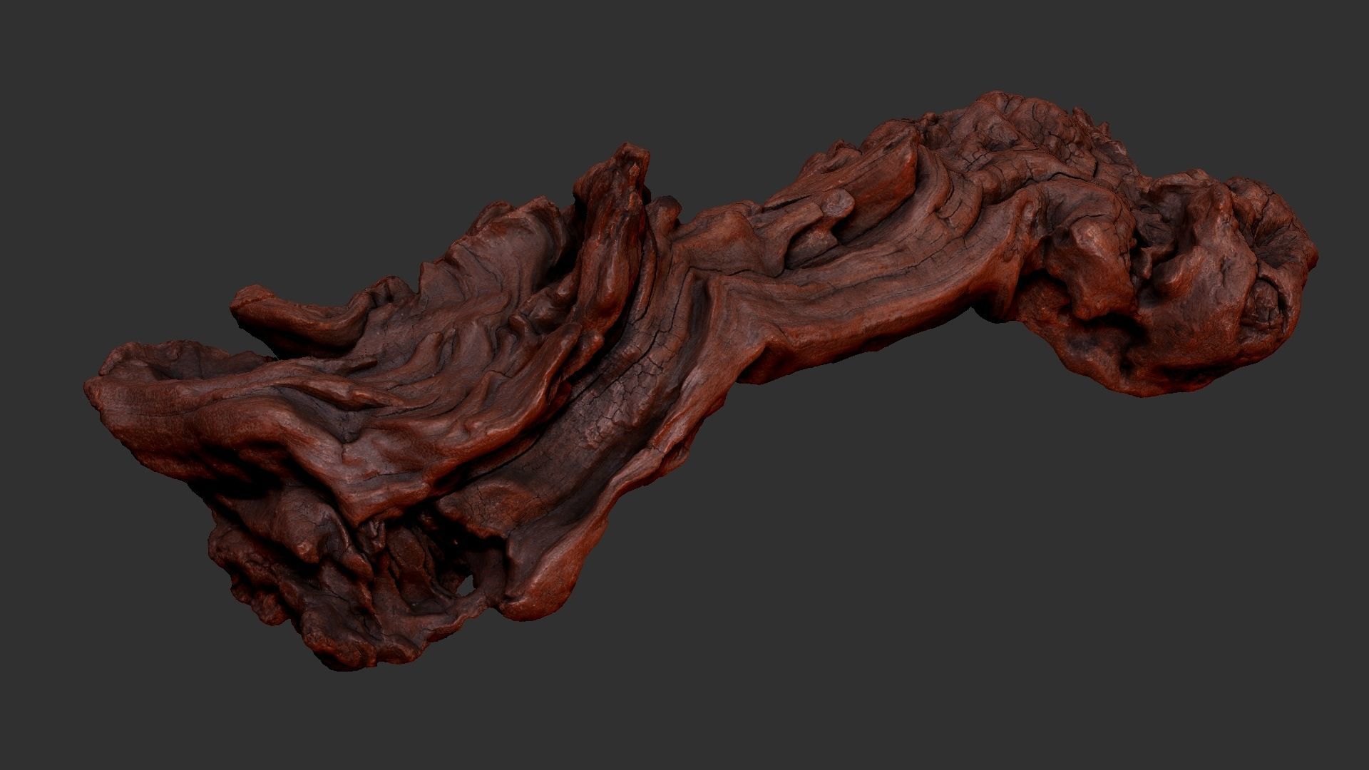 3d scan of the tree trunk 3D model_19