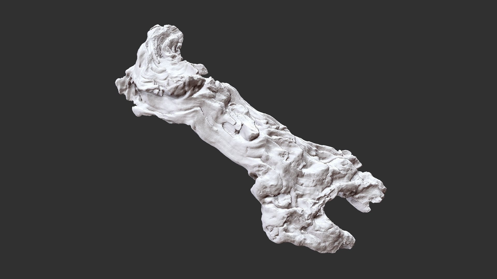 3d scan of the tree trunk 3D model_24