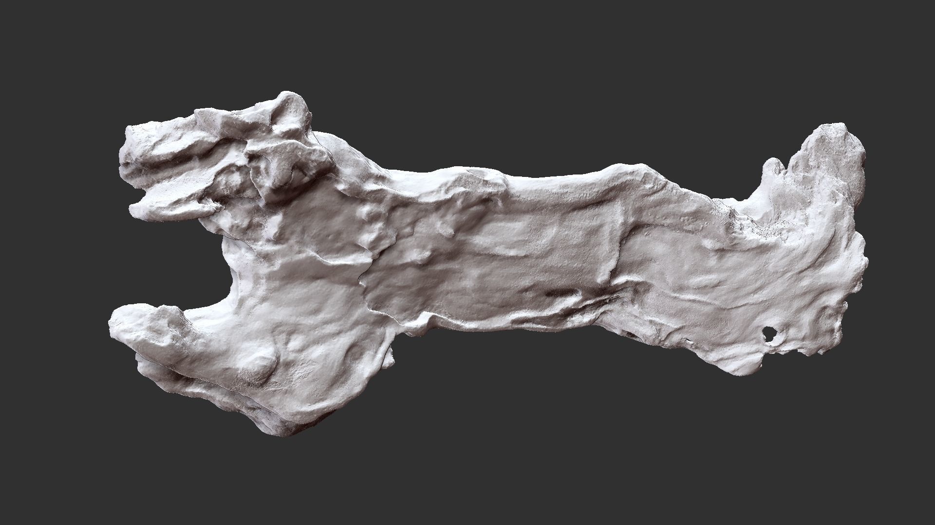 3d scan of the tree trunk 3D model_25