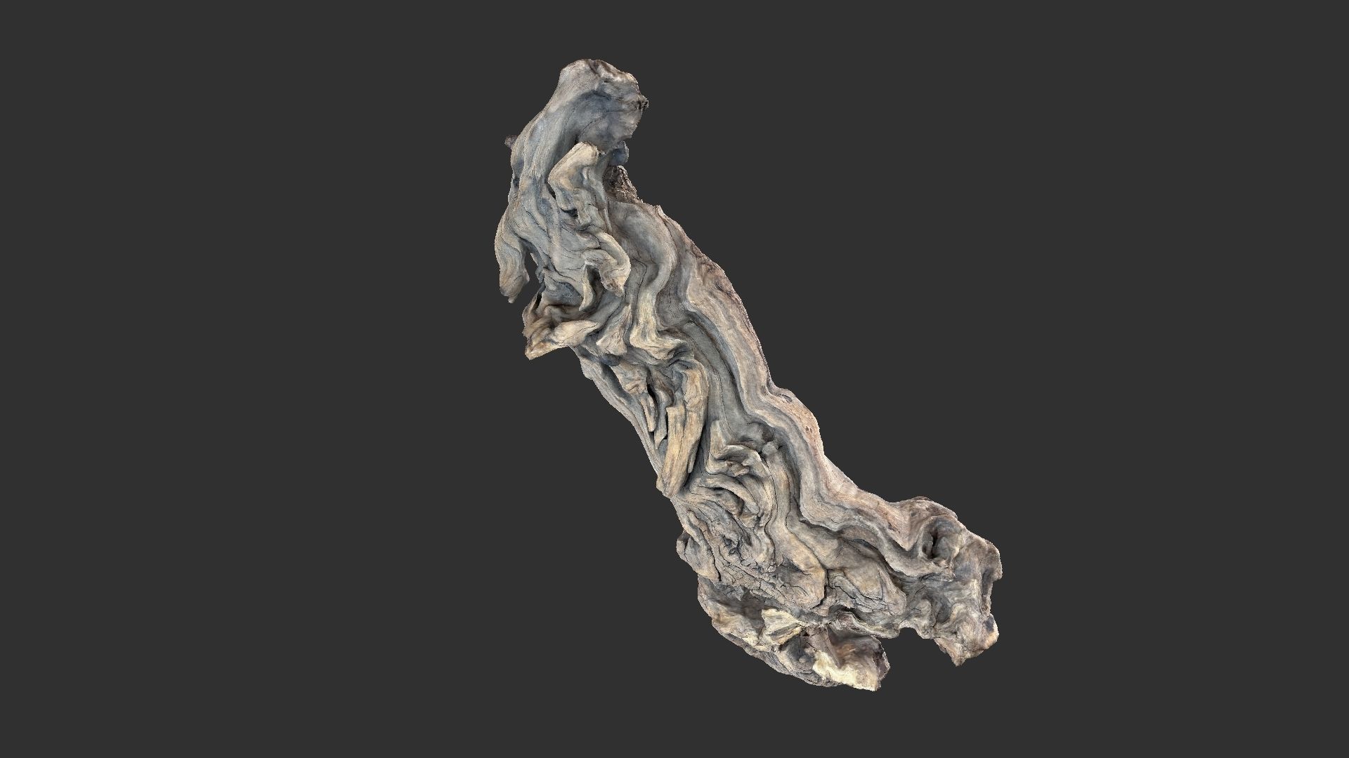 3d scan of the tree trunk 3D model_3